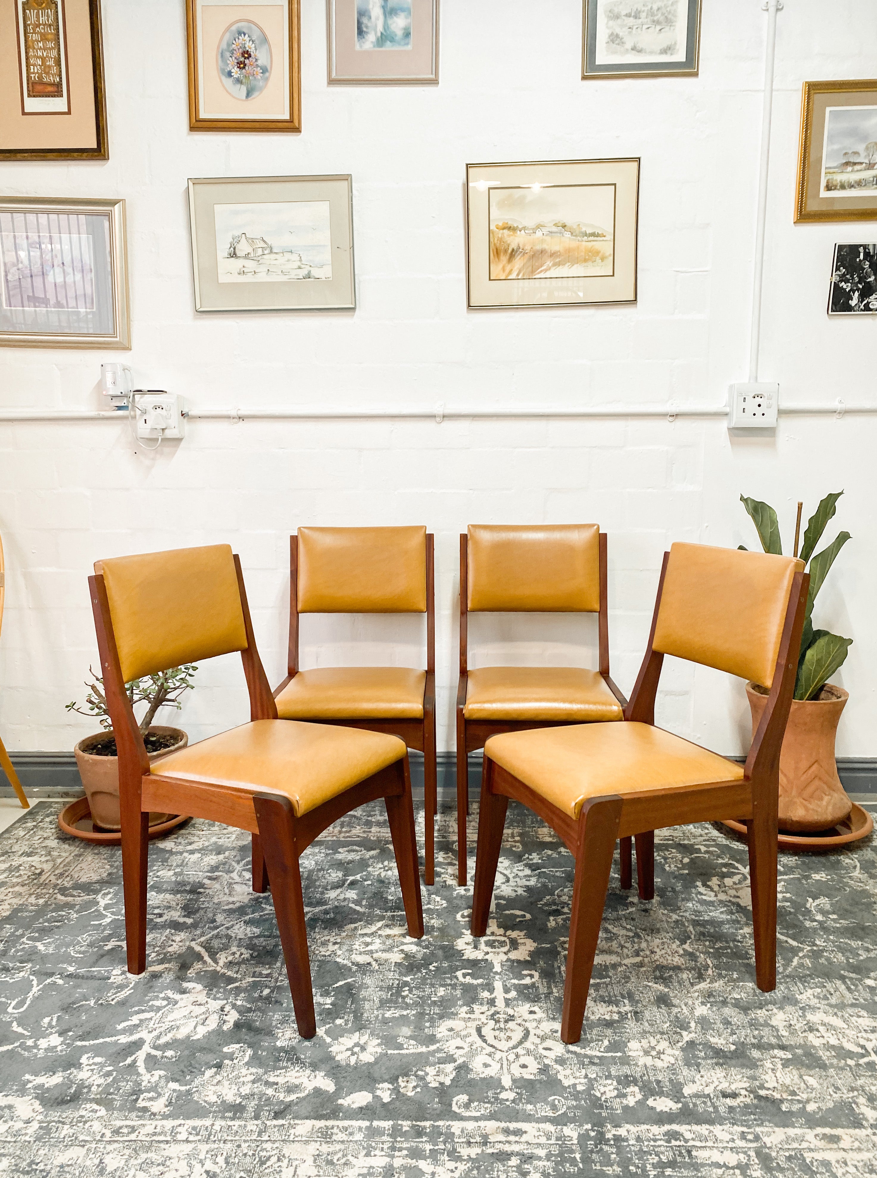 Mid Century Dining Chairs x 4 The Thrifty Duo