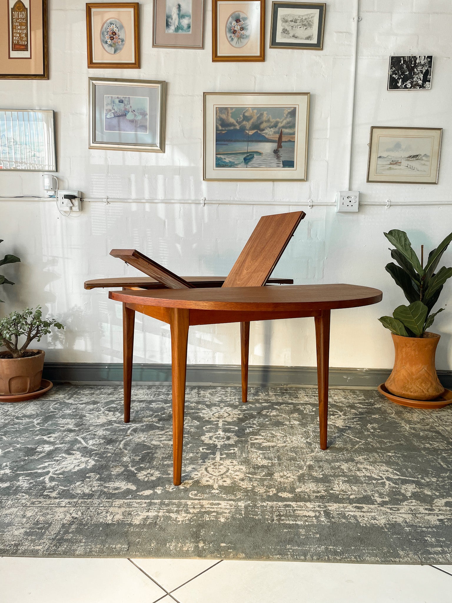 Circular Extendable MidCentury Tapered Leg Dining Table. The Thrifty Duo