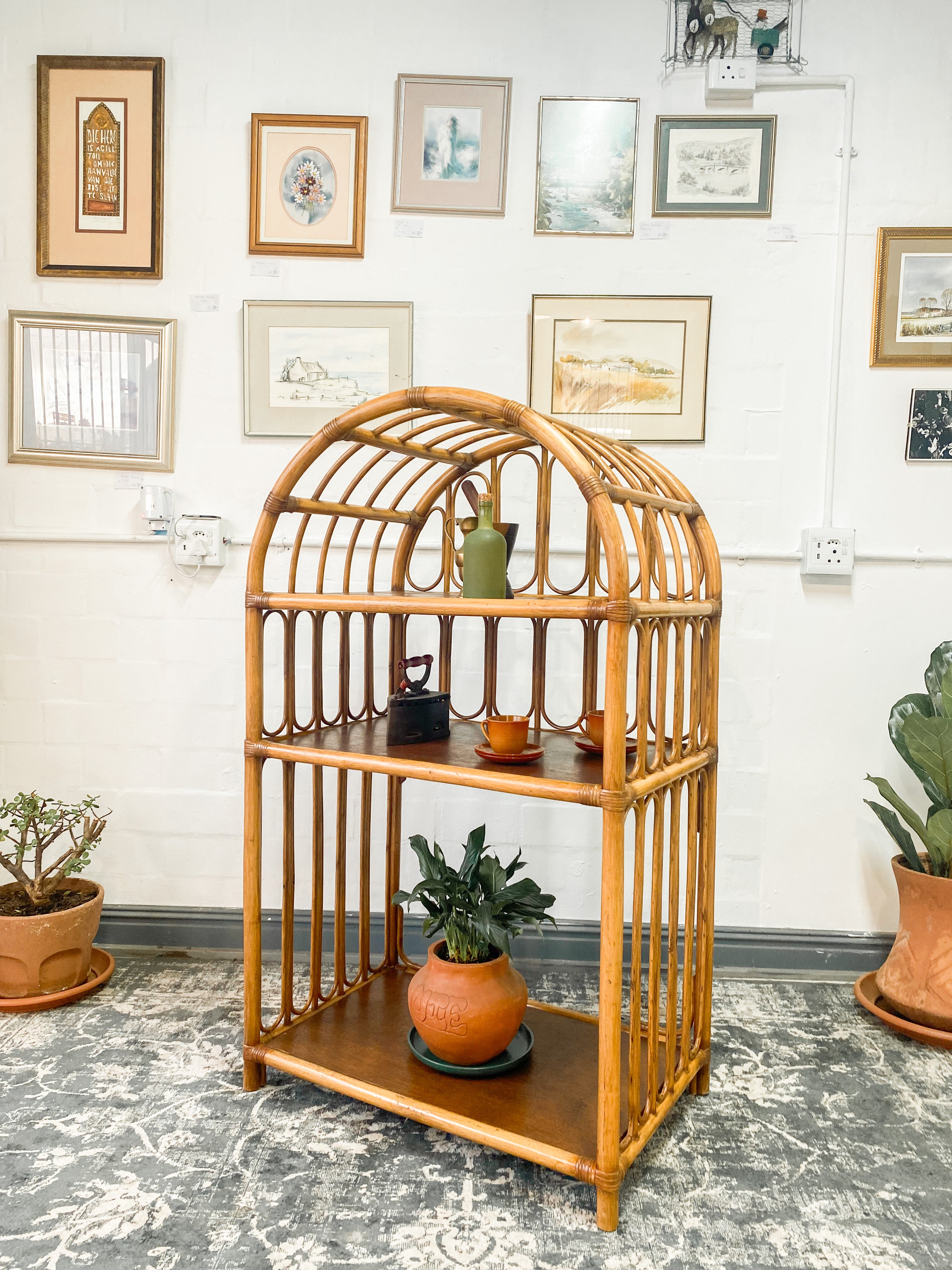 Cane Display Shelf The Thrifty Duo