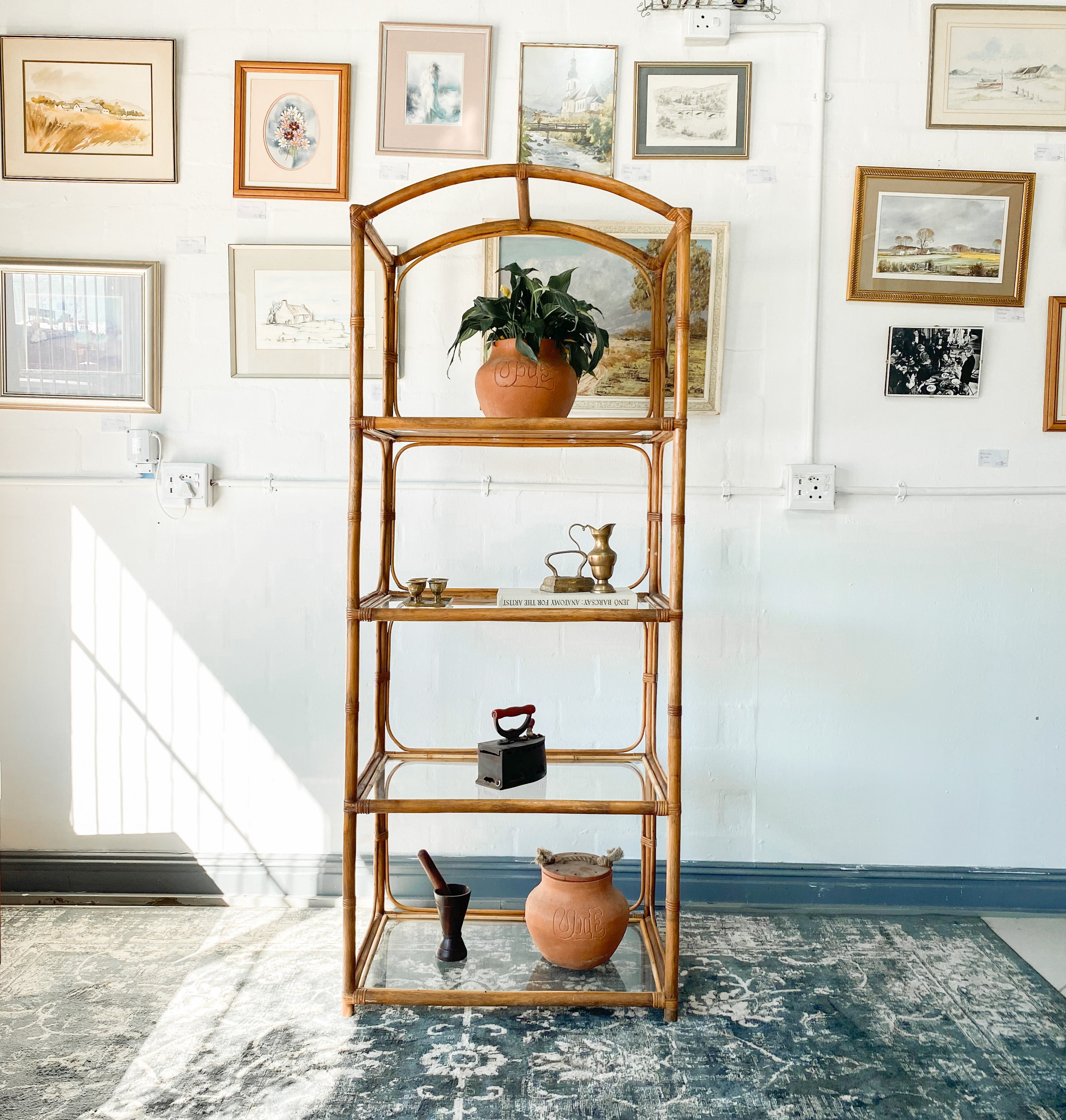Cane Display Shelf The Thrifty Duo