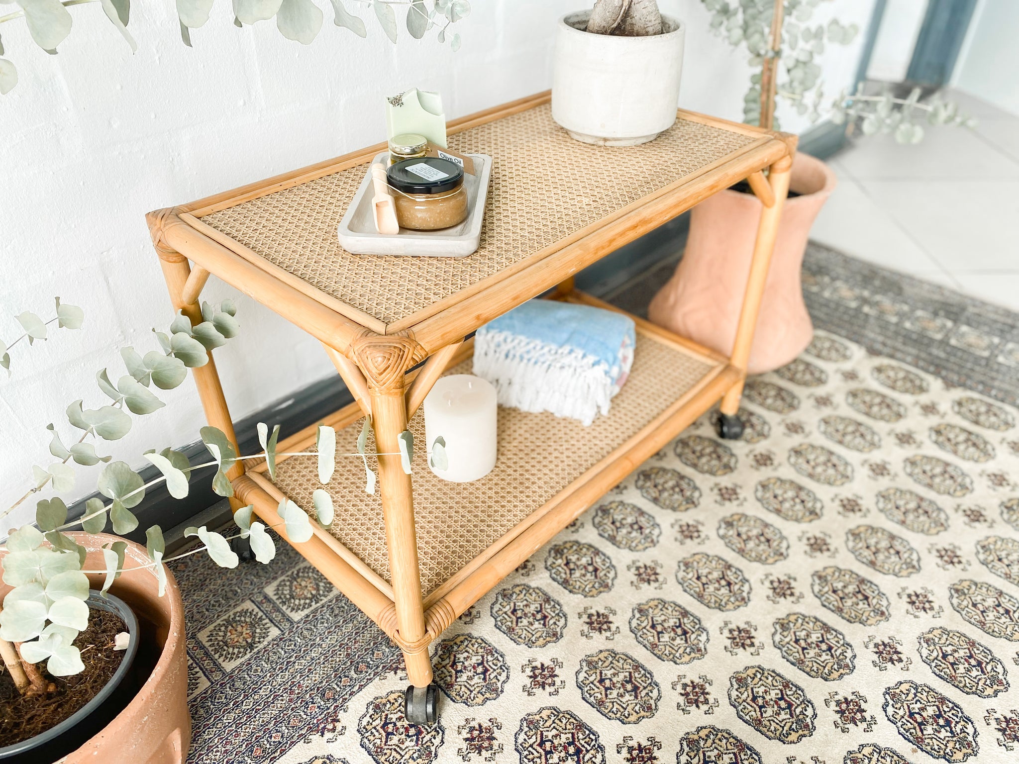 Cane Drinks Trolley The Thrifty Duo