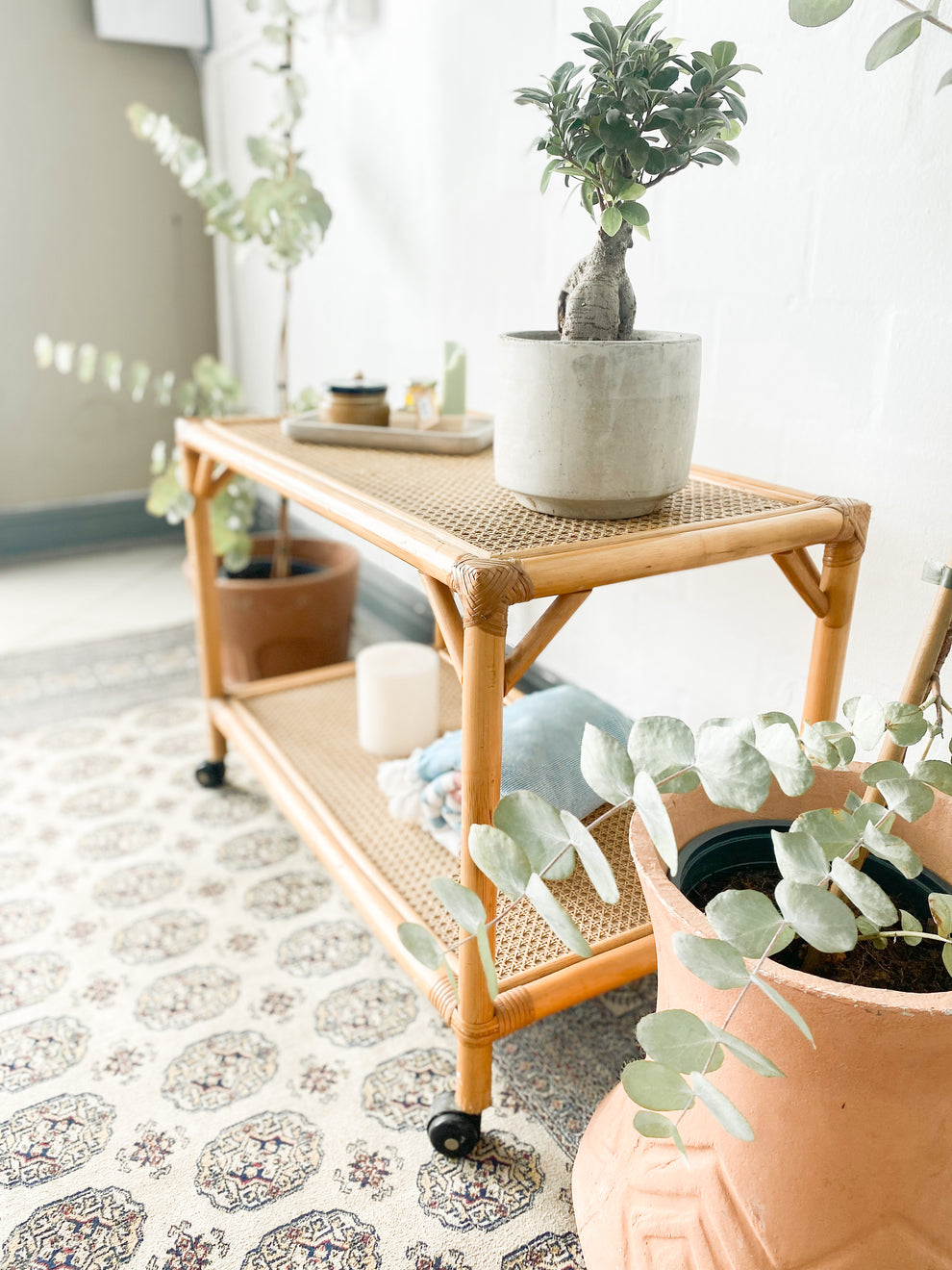 Cane Drinks Trolley The Thrifty Duo
